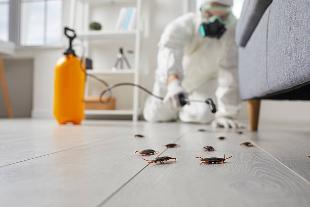 Commercial Kitchen Cockroach Control in Pickerington